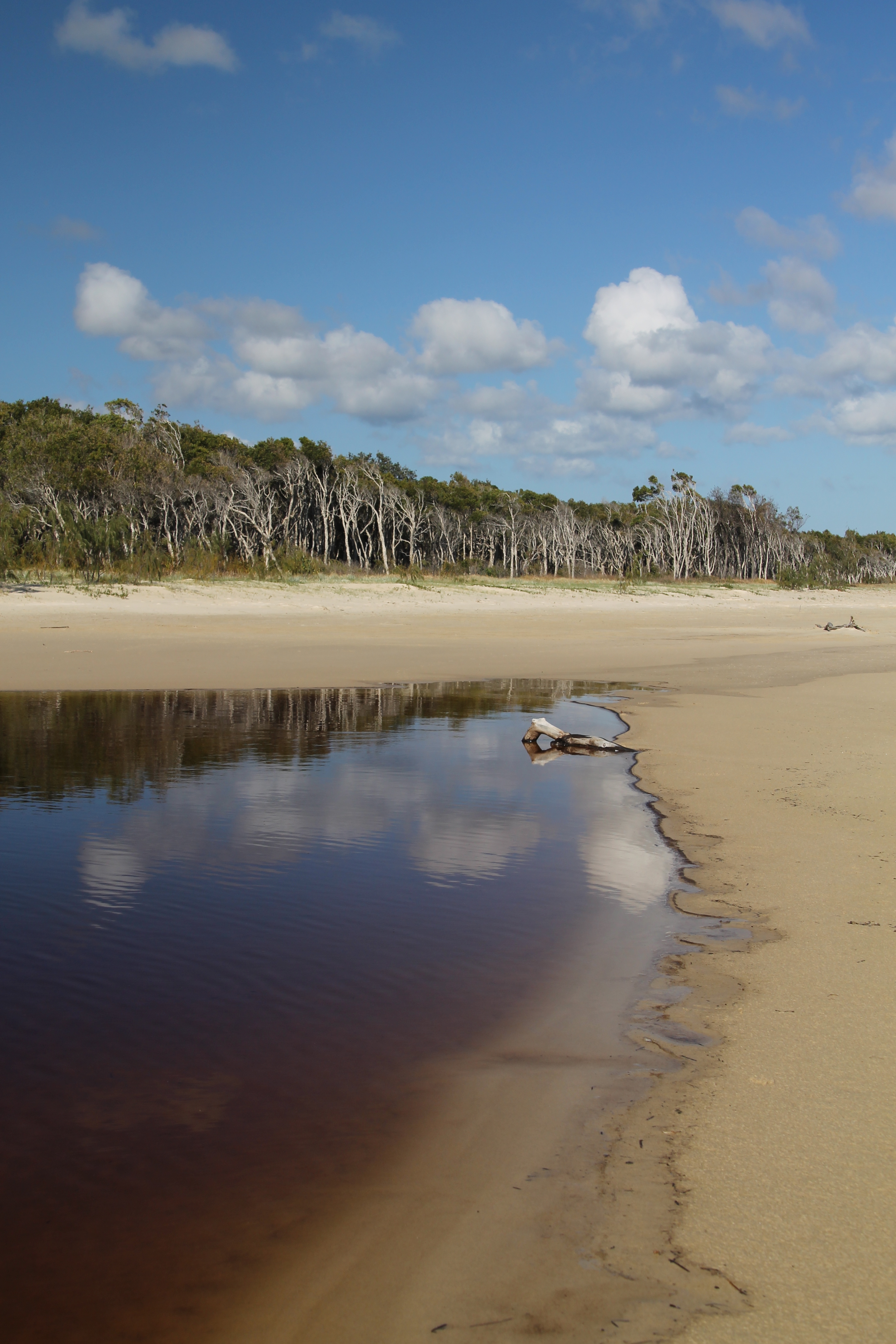 North Stradbroke Island, Moreton Bay Ramsar Site